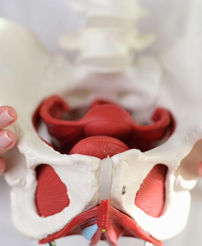 Não, não é normal ter perdas de urina ou dor nas relações