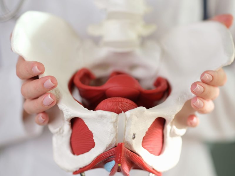 Não, não é normal ter perdas de urina ou dor nas relações
